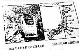 世界人口2021总人数排名_2021世界人口排名(2)