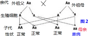 杯弓蛇影是什么物理原理_杯弓蛇影简笔画