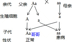 杯弓蛇影是什么物理原理_杯弓蛇影简笔画