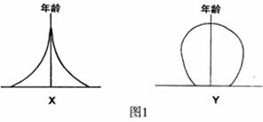 金字塔人口增长模式图_人口金字塔(2)