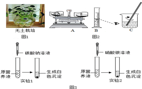 13 (7分)无土栽培是利用营养液栽培作物的一种方法(如图1)