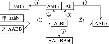 a,a和b,b表示分别位于两对同源染色体上的两对等位基因,①