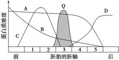 基因过表达的原理是什么_红色基因是什么