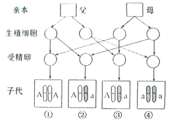 image002.gif