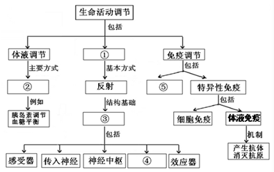 請在本圖①-⑤處補充適蛋四曇渡喜崢蒲У諶律疃牡鶻概念圖