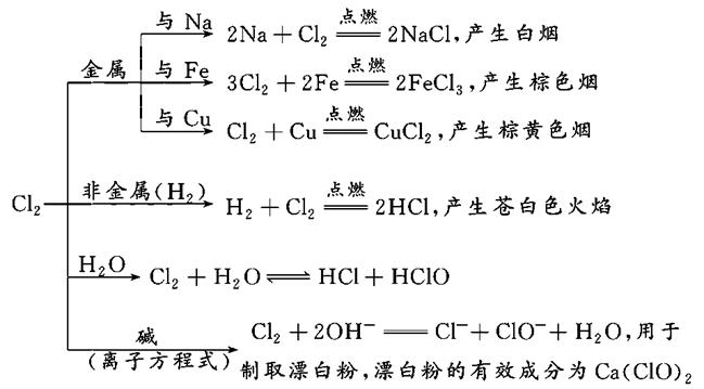 氯气的化学性质 Cl2的化学性质很活泼，具有很强的氧化性。 (1)氯气是很活泼的非金属单质，具有很强的氧化性。氯气能与绝大多数金属反应，把变价 ...