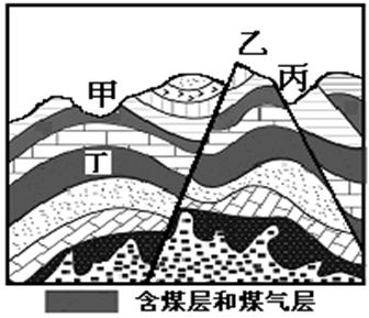 第五次人口普查人口金字塔分析_河北第五次人口普查(3)