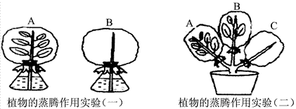 蒸腾作用示意图初中图片