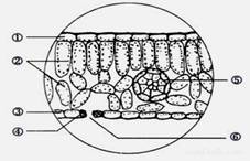 image009.jpg