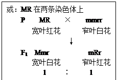 的m基因突变前的部分序列含起始密码信息如图5所示注起始密码子为aug