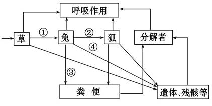 多多爱消除212过关图解图片