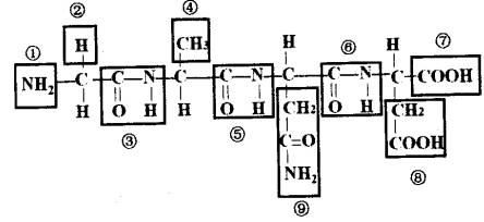 下图为某化合物的结构示意图,有关说法错误的是 a