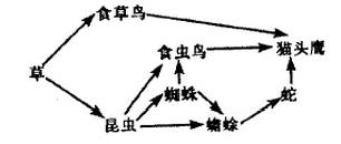 杯弓蛇影是什么物理原理_杯弓蛇影简笔画