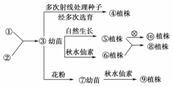 权变原理的核心是什么_幸福是什么图片