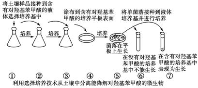 纤维素分解菌的筛选原理是什么_我是纤维素分解菌(3)