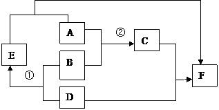 image019.gif