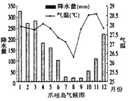 印度尼西亚人人口数量多_印度尼西亚人