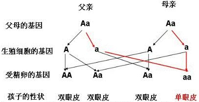 人口容量的相对性_大数据让 马云们 知道了太多的秘密(3)