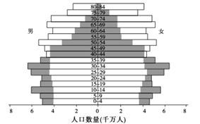 2000至2050中国60岁以上人口(2)