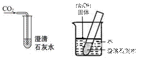 坚信爱会赢小提琴谱(3)