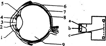 image006.jpg
