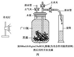 EL光触氧保鲜是什么原理_幸福是什么图片(2)