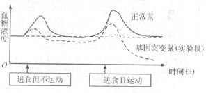 对正常人口对口吹气_口对口人工呼吸时吹气(3)