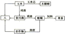 什么是按生态经济原理和知识经济规律(3)