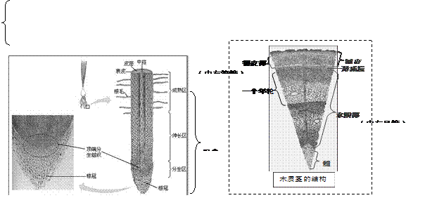 07年-10年深圳市中考科学试题双向细目表(2009年