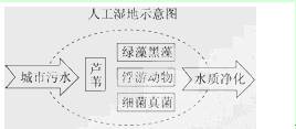 新田人口_新田2人入围永州市2020年湖南省劳动模范和先进工作者推荐人选(3)