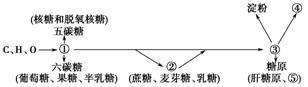 ②均属还原糖,在加热条件下与斐林发生反应将产生砖红色沉淀 c.