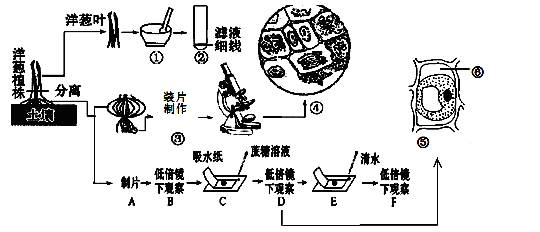 防止色素回流的是什么原理_色素痣是什么