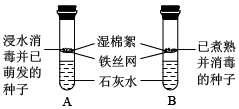 真气罐爆炸是什么时候原理_空压机气罐会不会爆炸(2)