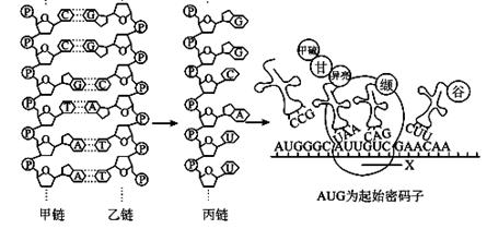 (1)dna分子的基本骨架由交替排列构成.
