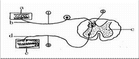 image010.gif