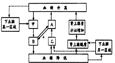 38,(6分)糖尿病是人類的常見病,發病率有上升的趨勢.