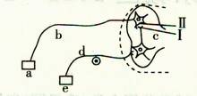 image006.jpg
