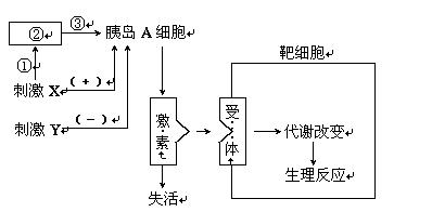 (10分)下图为体内细胞与内环境之间的物质交换示意图,据图回答下列