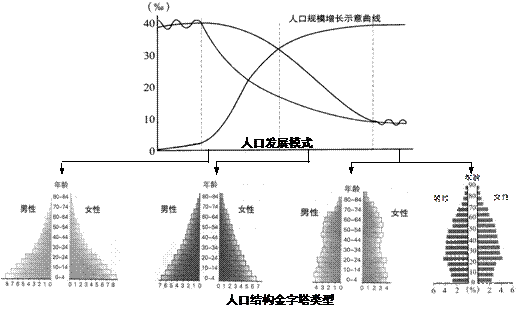 材料二:世界人口發展與人口結構金字塔類型圖