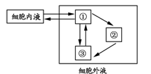 > 題目6,右下圖表示人體細胞內液與細胞外液進行物質交換過程的示意圖