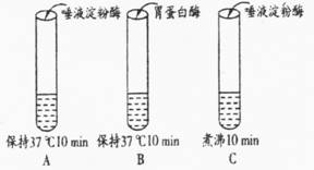 image006.jpg