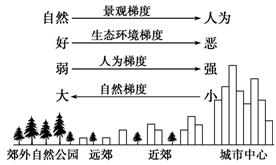 人口热力图时间轴_时间轴(3)