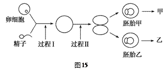 image015.gif