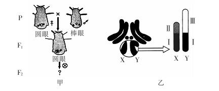 膽固醇是構成動,植物細胞細胞膜的主要成分 b.