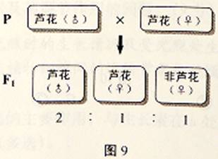image013.jpg