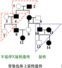 image028.gif