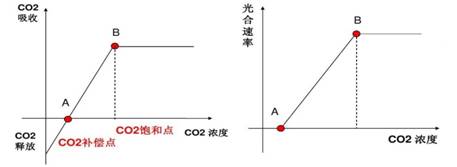 要求学生能正确把握题干中信息,二氧化碳补偿点的理解及影响光合作用