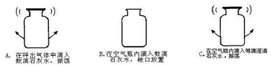 某同学向盛满呼出气体的集气瓶内滴入数滴澄清的石灰水振荡(如下图a)