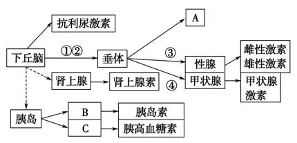 西藏 人口结构_西藏人口分布图(3)