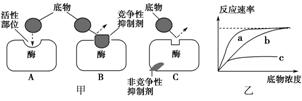 酶抑制剂分竞争性抑制剂和非竞争性抑制剂，两者作用特点如图甲所示，图乙表示相应的反应速率。下列有关叙述不正确的是( ) A．曲线a表示没有酶抑制 ...